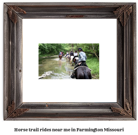 horse trail rides near me in Farmington, Missouri